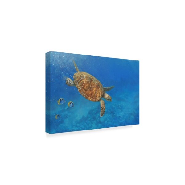 Michael Jackson 'Large Sea Turtle' Canvas Art,12x19